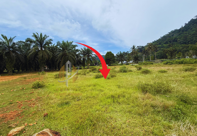 Lot Banglo bersaiz 530m²  di Kg. Bukit Perpat, Ajil, Terengganu