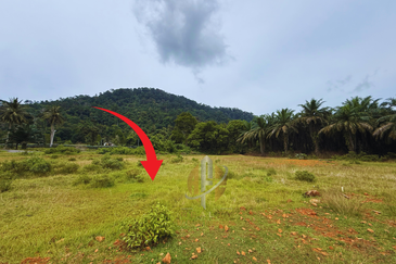 Lot Banglo bersaiz 530m²  di Kg. Bukit Perpat, Ajil, Terengganu