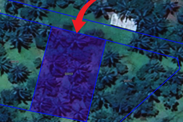 Lot Banglo bersaiz 777m²  di Kg. Alor Limbat, Marang, Terengganu