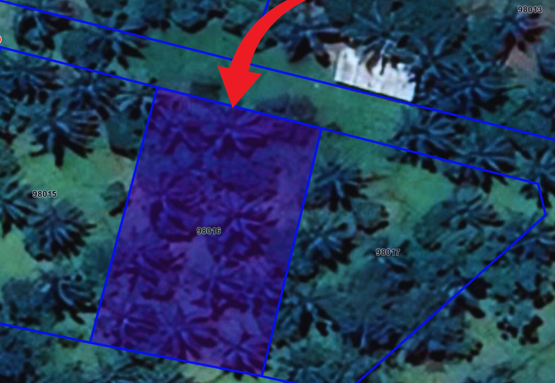 Lot Banglo bersaiz 777m²  di Kg. Alor Limbat, Marang, Terengganu