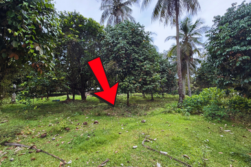 Lot Banglo bersaiz 777m²  di Kg. Alor Limbat, Marang, Terengganu