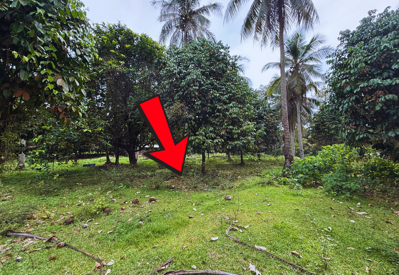 Lot Banglo bersaiz 777m²  di Kg. Alor Limbat, Marang, Terengganu