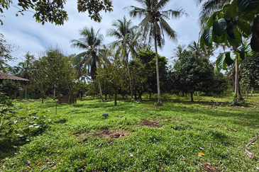 Lot Banglo bersaiz 777m²  di Kg. Alor Limbat, Marang, Terengganu