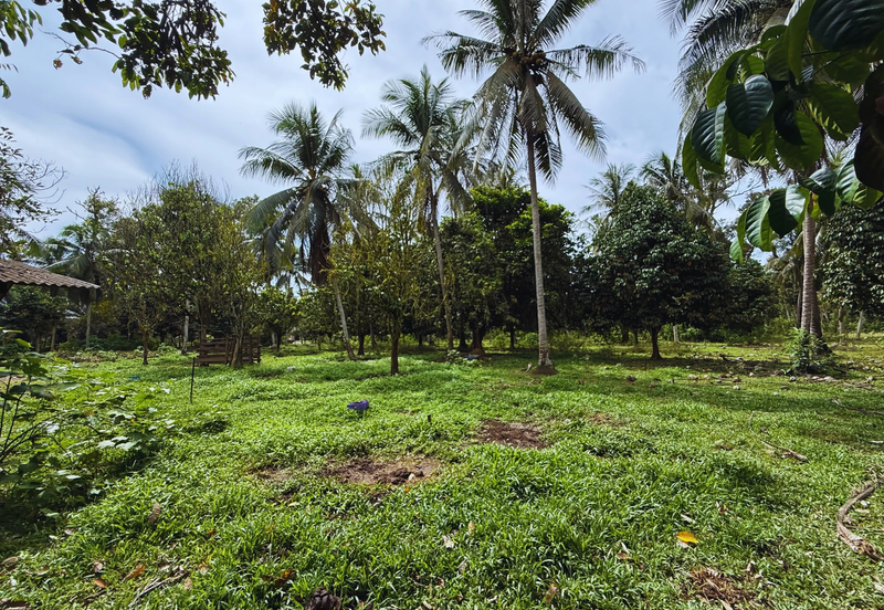 Lot Banglo bersaiz 777m²  di Kg. Alor Limbat, Marang, Terengganu