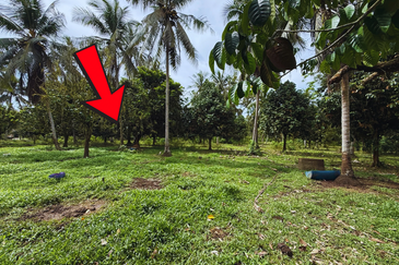 Lot Banglo bersaiz 777m²  di Kg. Alor Limbat, Marang, Terengganu