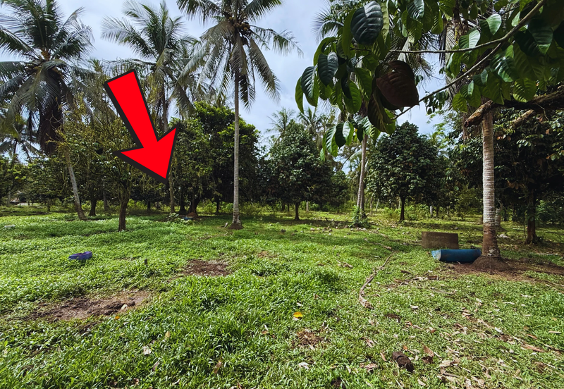 Lot Banglo bersaiz 777m²  di Kg. Alor Limbat, Marang, Terengganu