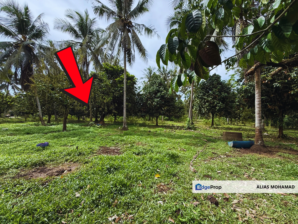 Lot Banglo bersaiz 777m²  di Kg. Alor Limbat, Marang, Terengganu, Terengganu, Marang