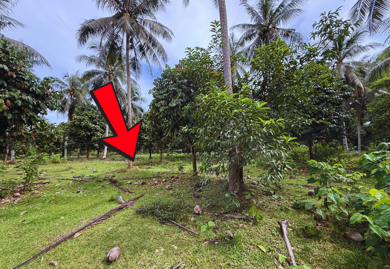 Lot Banglo bersaiz 777m²  di Kg. Alor Limbat, Marang, Terengganu