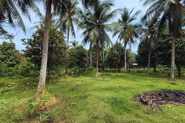 Lot Banglo bersaiz 777m²  di Kg. Alor Limbat, Marang, Terengganu