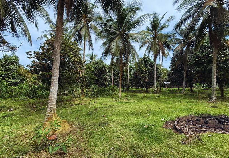 Lot Banglo bersaiz 777m²  di Kg. Alor Limbat, Marang, Terengganu