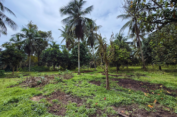 Lot Banglo bersaiz 777m²  di Kg. Alor Limbat, Marang, Terengganu