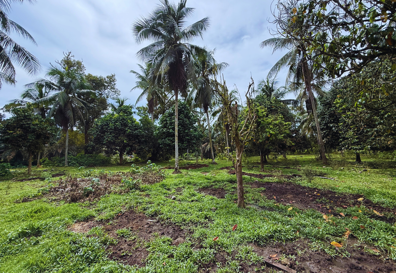 Lot Banglo bersaiz 777m²  di Kg. Alor Limbat, Marang, Terengganu