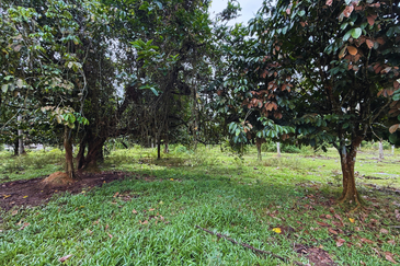 Lot Banglo bersaiz 777m²  di Kg. Alor Limbat, Marang, Terengganu