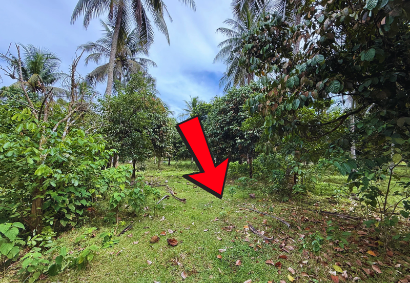 Lot Banglo bersaiz 777m²  di Kg. Alor Limbat, Marang, Terengganu