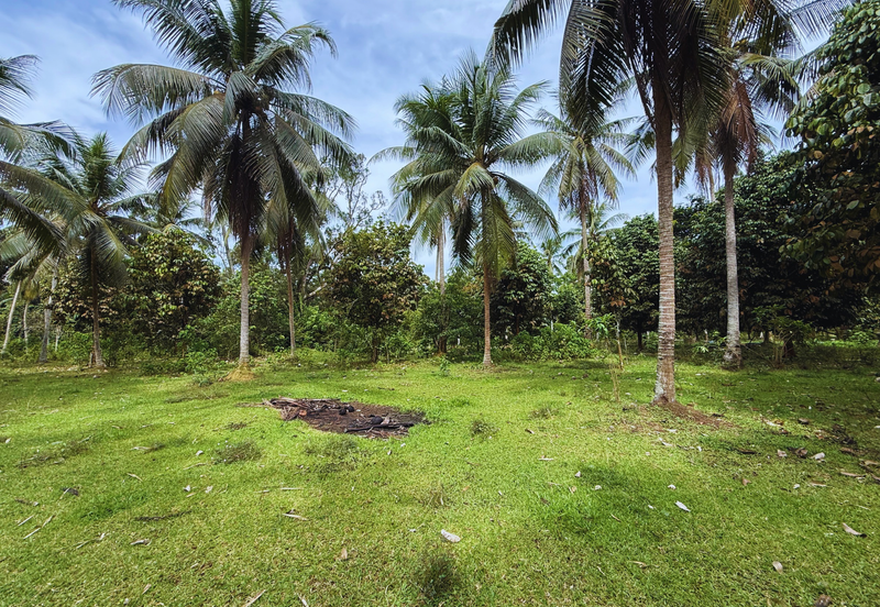 Lot Banglo bersaiz 777m²  di Kg. Alor Limbat, Marang, Terengganu