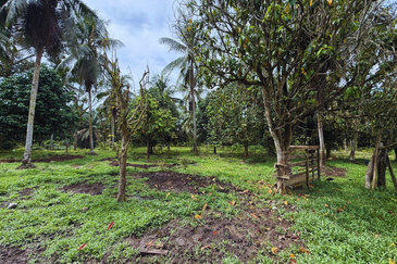 Lot Banglo bersaiz 777m²  di Kg. Alor Limbat, Marang, Terengganu