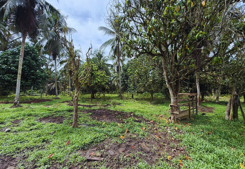 Lot Banglo bersaiz 777m²  di Kg. Alor Limbat, Marang, Terengganu