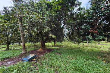 Lot Banglo bersaiz 777m²  di Kg. Alor Limbat, Marang, Terengganu