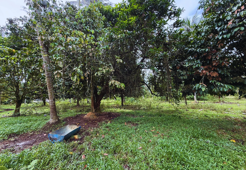 Lot Banglo bersaiz 777m²  di Kg. Alor Limbat, Marang, Terengganu