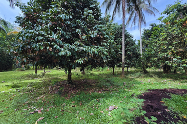 Lot Banglo bersaiz 777m²  di Kg. Alor Limbat, Marang, Terengganu