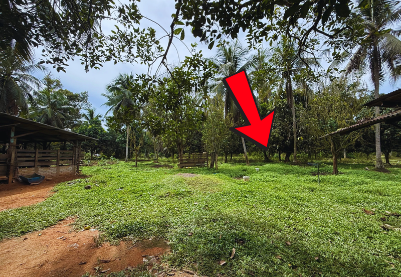 Lot Banglo bersaiz 777m²  di Kg. Alor Limbat, Marang, Terengganu