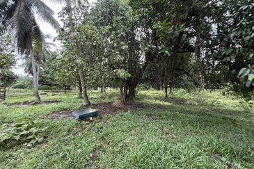 Lot Banglo bersaiz 777m²  di Kg. Alor Limbat, Marang, Terengganu