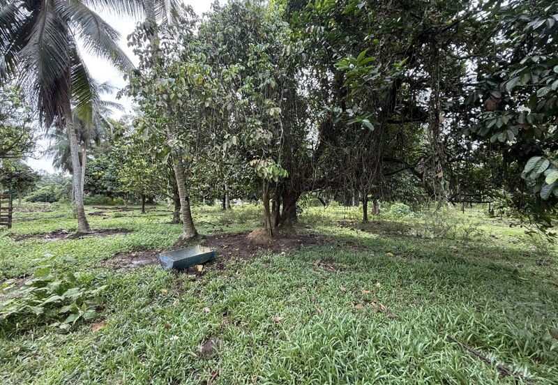 Lot Banglo bersaiz 777m²  di Kg. Alor Limbat, Marang, Terengganu