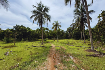 Lot Banglo bersaiz 777m²  di Kg. Alor Limbat, Marang, Terengganu