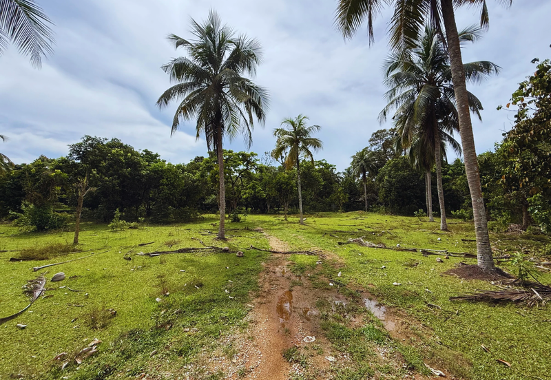 Lot Banglo bersaiz 777m²  di Kg. Alor Limbat, Marang, Terengganu