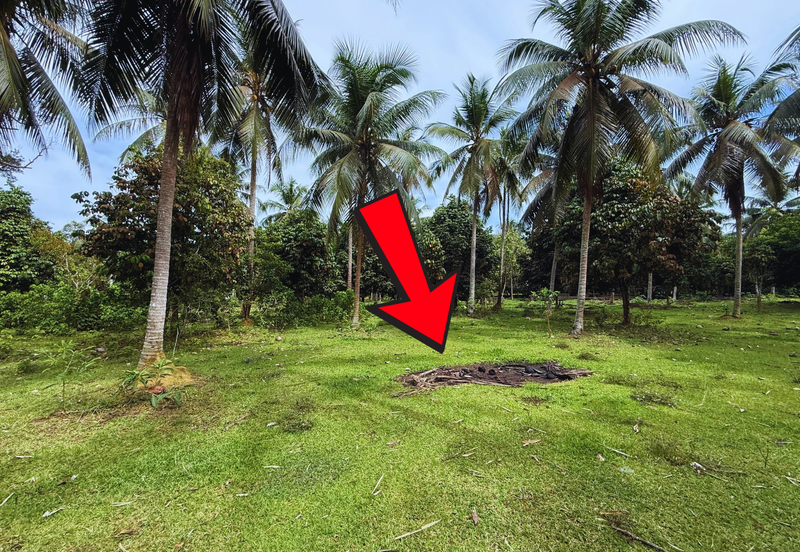 Lot Banglo bersaiz 777m²  di Kg. Alor Limbat, Marang, Terengganu