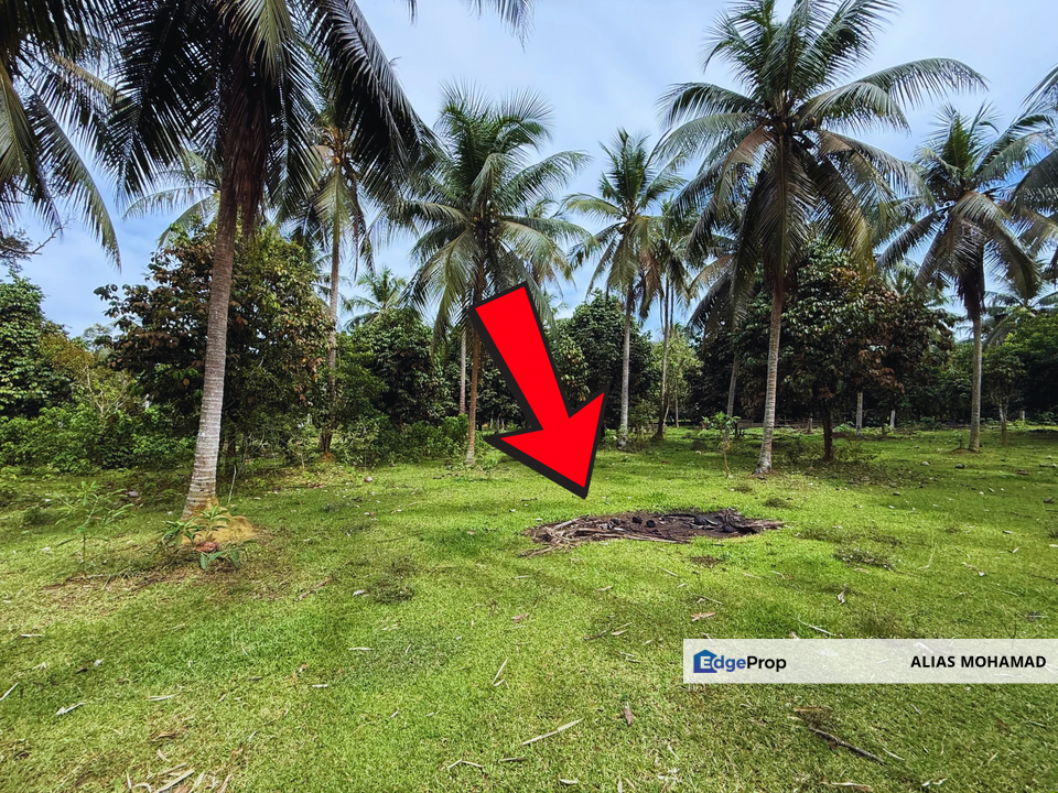 Lot Banglo bersaiz 777m²  di Kg. Alor Limbat, Marang, Terengganu, Terengganu, Marang