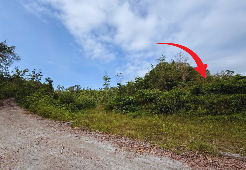 Tanah Komersial bersaiz 20 ekar di Bukit Kor, Terengganu