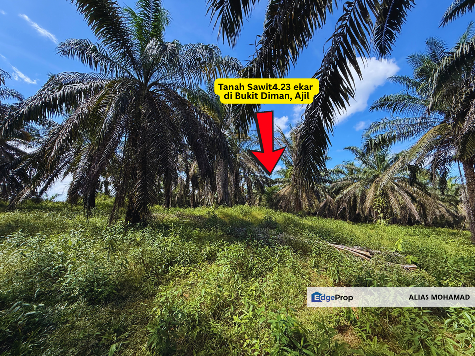 Tanah sawit 4.23 ekar di Bukit Diman, Ajil, Terengganu, Terengganu, Ajil