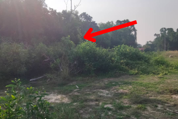 𝐓𝐚𝐧𝐚𝐡 𝟕.𝟏𝟐 𝐞𝐤𝐚𝐫 𝐝𝐢 𝐓𝐞𝐩𝐢 𝐉𝐚𝐥𝐚𝐧 𝐔𝐭𝐚𝐦𝐚 𝐓𝐨𝐤 𝐉𝐞𝐦𝐛𝐚𝐥 𝐛𝐞𝐫𝐝𝐞𝐤𝐚𝐭𝐚𝐧 𝐔𝐌𝐓