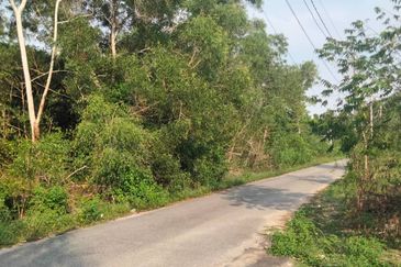 𝐓𝐀𝐍𝐀𝐇 𝐁𝐄𝐑𝐒𝐓𝐀𝐓𝐔𝐒 𝐁𝐀𝐍𝐆𝐔𝐍𝐀𝐍 𝟐.𝟓 𝐄𝐊𝐀𝐑 𝐃𝐈 𝐓𝐎𝐊 𝐉𝐄𝐌𝐁𝐀𝐋, 𝐊𝐔𝐀𝐋𝐀 𝐍𝐄𝐑𝐔𝐒, 𝐓𝐄𝐑𝐄𝐍𝐆𝐆𝐀𝐍𝐔