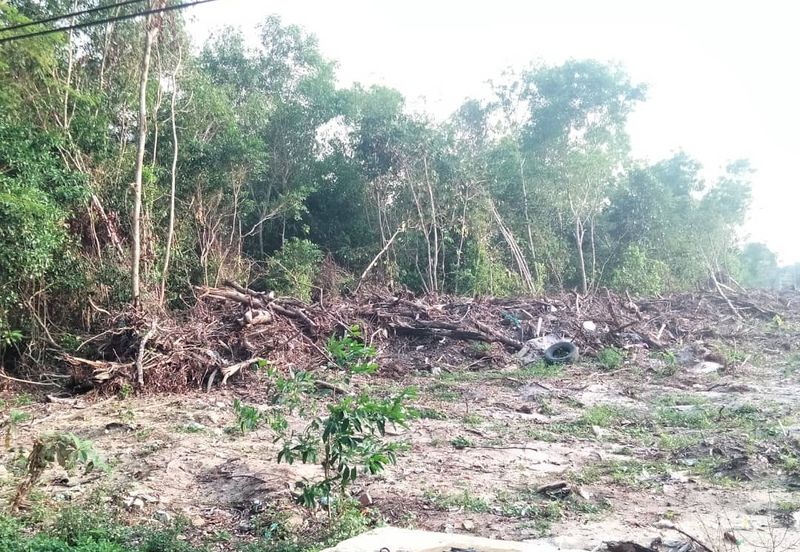 𝐓𝐀𝐍𝐀𝐇 𝐁𝐄𝐑𝐒𝐓𝐀𝐓𝐔𝐒 𝐁𝐀𝐍𝐆𝐔𝐍𝐀𝐍 𝟐.𝟓 𝐄𝐊𝐀𝐑 𝐃𝐈 𝐓𝐎𝐊 𝐉𝐄𝐌𝐁𝐀𝐋, 𝐊𝐔𝐀𝐋𝐀 𝐍𝐄𝐑𝐔𝐒, 𝐓𝐄𝐑𝐄𝐍𝐆𝐆𝐀𝐍𝐔