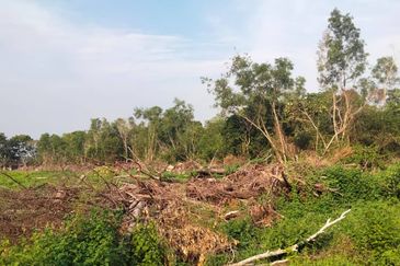 𝐓𝐀𝐍𝐀𝐇 𝐁𝐄𝐑𝐒𝐓𝐀𝐓𝐔𝐒 𝐁𝐀𝐍𝐆𝐔𝐍𝐀𝐍 𝟐.𝟓 𝐄𝐊𝐀𝐑 𝐃𝐈 𝐓𝐎𝐊 𝐉𝐄𝐌𝐁𝐀𝐋, 𝐊𝐔𝐀𝐋𝐀 𝐍𝐄𝐑𝐔𝐒, 𝐓𝐄𝐑𝐄𝐍𝐆𝐆𝐀𝐍𝐔