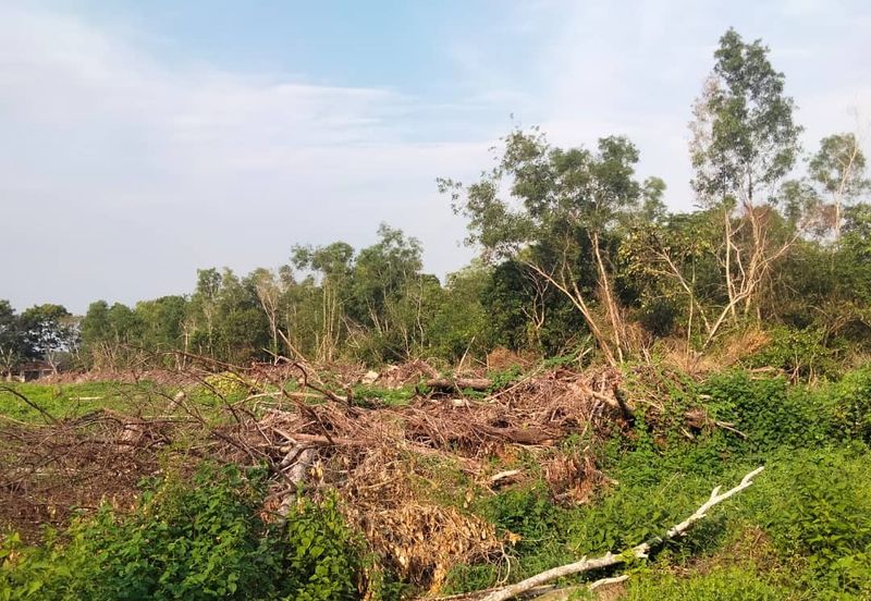 𝐓𝐀𝐍𝐀𝐇 𝐁𝐄𝐑𝐒𝐓𝐀𝐓𝐔𝐒 𝐁𝐀𝐍𝐆𝐔𝐍𝐀𝐍 𝟐.𝟓 𝐄𝐊𝐀𝐑 𝐃𝐈 𝐓𝐎𝐊 𝐉𝐄𝐌𝐁𝐀𝐋, 𝐊𝐔𝐀𝐋𝐀 𝐍𝐄𝐑𝐔𝐒, 𝐓𝐄𝐑𝐄𝐍𝐆𝐆𝐀𝐍𝐔