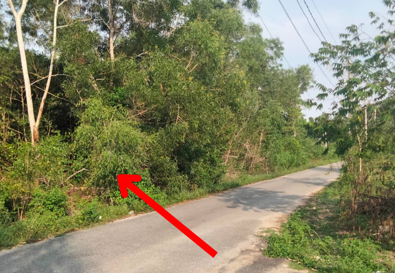 𝐓𝐀𝐍𝐀𝐇 𝐁𝐄𝐑𝐒𝐓𝐀𝐓𝐔𝐒 𝐁𝐀𝐍𝐆𝐔𝐍𝐀𝐍 𝟐.𝟓 𝐄𝐊𝐀𝐑 𝐃𝐈 𝐓𝐎𝐊 𝐉𝐄𝐌𝐁𝐀𝐋, 𝐊𝐔𝐀𝐋𝐀 𝐍𝐄𝐑𝐔𝐒, 𝐓𝐄𝐑𝐄𝐍𝐆𝐆𝐀𝐍𝐔