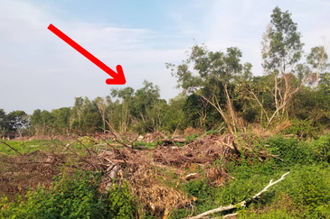 𝐓𝐀𝐍𝐀𝐇 𝐁𝐄𝐑𝐒𝐓𝐀𝐓𝐔𝐒 𝐁𝐀𝐍𝐆𝐔𝐍𝐀𝐍 𝟐.𝟓 𝐄𝐊𝐀𝐑 𝐃𝐈 𝐓𝐎𝐊 𝐉𝐄𝐌𝐁𝐀𝐋, 𝐊𝐔𝐀𝐋𝐀 𝐍𝐄𝐑𝐔𝐒, 𝐓𝐄𝐑𝐄𝐍𝐆𝐆𝐀𝐍𝐔