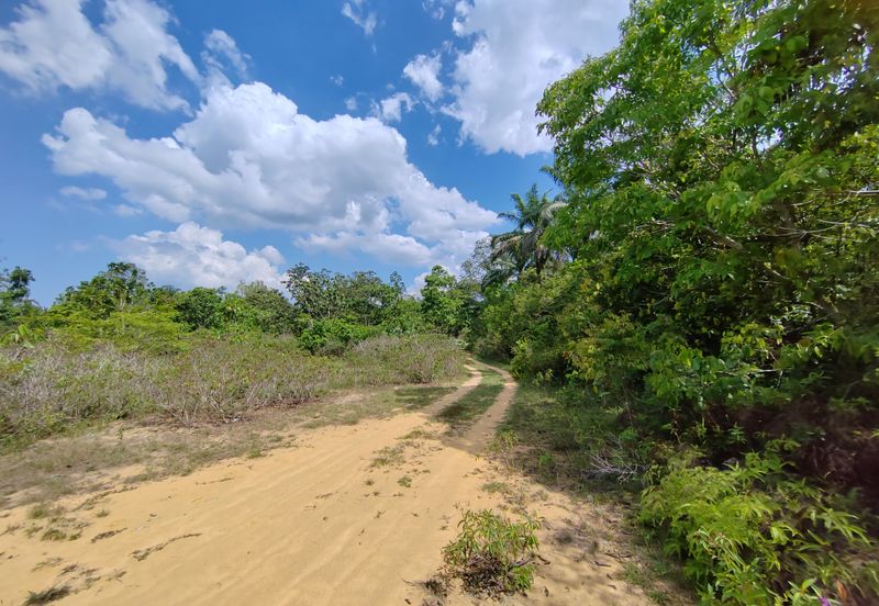 𝟒 𝐋𝐨𝐭 𝐁𝐚𝐧𝐠𝐥𝐨 𝐛𝐞𝐫𝐬𝐚𝐢𝐳 𝟔𝟎𝟓𝐦² 𝐝𝐢 𝐊𝐠. 𝐉𝐚𝐤, 𝐀𝐣𝐢𝐥 𝐛𝐞𝐫𝐝𝐞𝐤𝐚𝐭𝐚𝐧 𝐉𝐚𝐥𝐚𝐧 𝐔𝐭𝐚𝐦𝐚 & 𝐇𝐢𝐠𝐡𝐰𝐚𝐲 𝐋𝐏𝐓𝟐