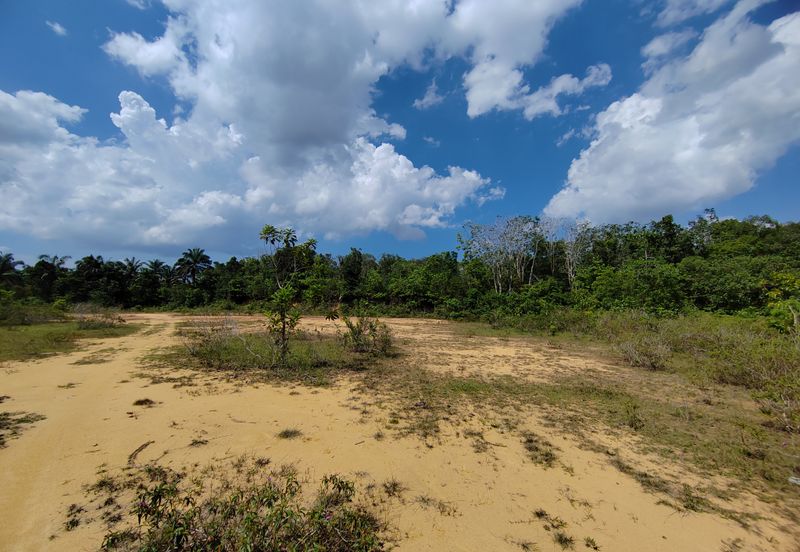 𝟒 𝐋𝐨𝐭 𝐁𝐚𝐧𝐠𝐥𝐨 𝐛𝐞𝐫𝐬𝐚𝐢𝐳 𝟔𝟎𝟓𝐦² 𝐝𝐢 𝐊𝐠. 𝐉𝐚𝐤, 𝐀𝐣𝐢𝐥 𝐛𝐞𝐫𝐝𝐞𝐤𝐚𝐭𝐚𝐧 𝐉𝐚𝐥𝐚𝐧 𝐔𝐭𝐚𝐦𝐚 & 𝐇𝐢𝐠𝐡𝐰𝐚𝐲 𝐋𝐏𝐓𝟐