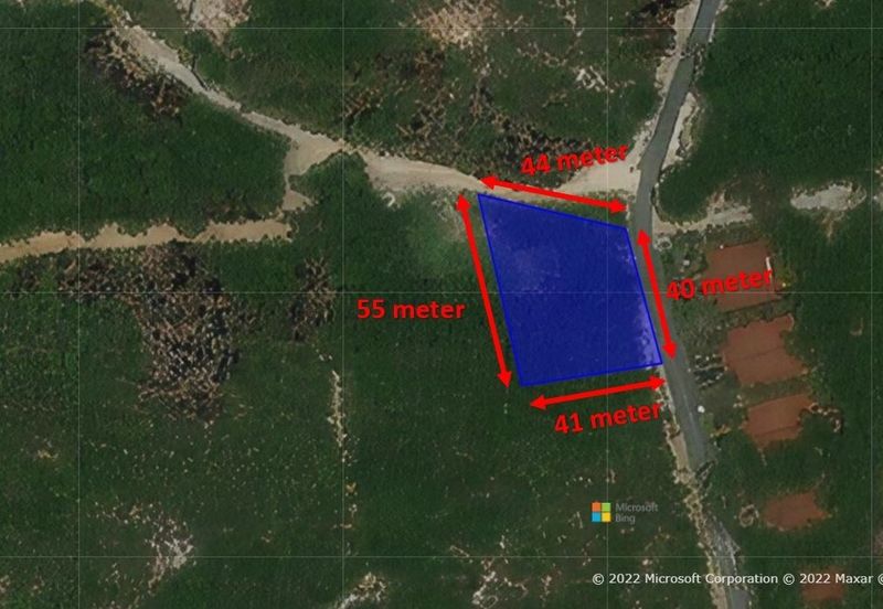 [𝐓𝐚𝐧𝐚𝐡 𝐆𝐫𝐞𝐝 𝐀]𝐓𝐚𝐧𝐚𝐡 𝐋𝐨𝐭 𝐁𝐚𝐧𝐠𝐥𝐨 𝐒𝐞𝐭𝐞𝐧𝐠𝐚𝐡 𝐄𝐤𝐚𝐫 𝐝𝐢 𝐁𝐚𝐧𝐝𝐚𝐫 𝐌𝐚𝐫𝐚𝐧𝐠, 𝐓𝐞𝐫𝐞𝐧𝐠𝐠𝐚𝐧𝐮