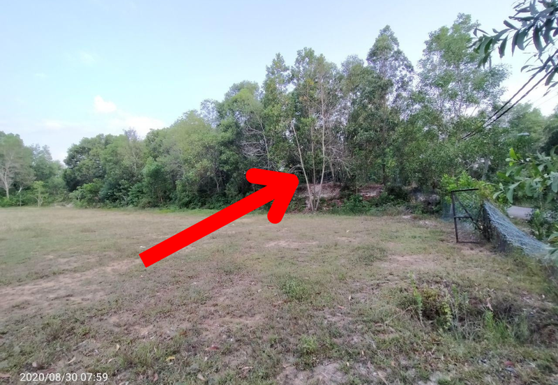 [𝐓𝐚𝐧𝐚𝐡 𝐆𝐫𝐞𝐝 𝐀]𝐓𝐚𝐧𝐚𝐡 𝐋𝐨𝐭 𝐁𝐚𝐧𝐠𝐥𝐨 𝐒𝐞𝐭𝐞𝐧𝐠𝐚𝐡 𝐄𝐤𝐚𝐫 𝐝𝐢 𝐁𝐚𝐧𝐝𝐚𝐫 𝐌𝐚𝐫𝐚𝐧𝐠, 𝐓𝐞𝐫𝐞𝐧𝐠𝐠𝐚𝐧𝐮