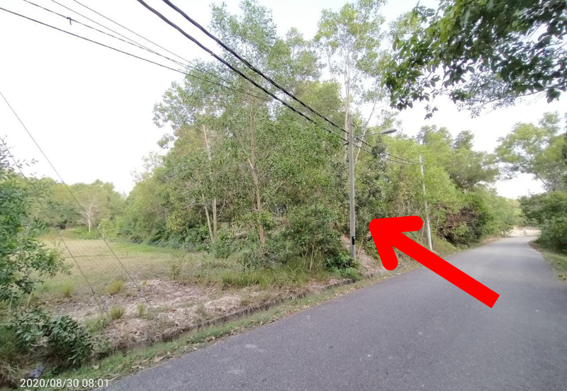 [𝐓𝐚𝐧𝐚𝐡 𝐆𝐫𝐞𝐝 𝐀]𝐓𝐚𝐧𝐚𝐡 𝐋𝐨𝐭 𝐁𝐚𝐧𝐠𝐥𝐨 𝐒𝐞𝐭𝐞𝐧𝐠𝐚𝐡 𝐄𝐤𝐚𝐫 𝐝𝐢 𝐁𝐚𝐧𝐝𝐚𝐫 𝐌𝐚𝐫𝐚𝐧𝐠, 𝐓𝐞𝐫𝐞𝐧𝐠𝐠𝐚𝐧𝐮