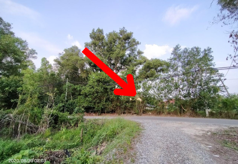 [𝐓𝐚𝐧𝐚𝐡 𝐆𝐫𝐞𝐝 𝐀]𝐓𝐚𝐧𝐚𝐡 𝐋𝐨𝐭 𝐁𝐚𝐧𝐠𝐥𝐨 𝐒𝐞𝐭𝐞𝐧𝐠𝐚𝐡 𝐄𝐤𝐚𝐫 𝐝𝐢 𝐁𝐚𝐧𝐝𝐚𝐫 𝐌𝐚𝐫𝐚𝐧𝐠, 𝐓𝐞𝐫𝐞𝐧𝐠𝐠𝐚𝐧𝐮