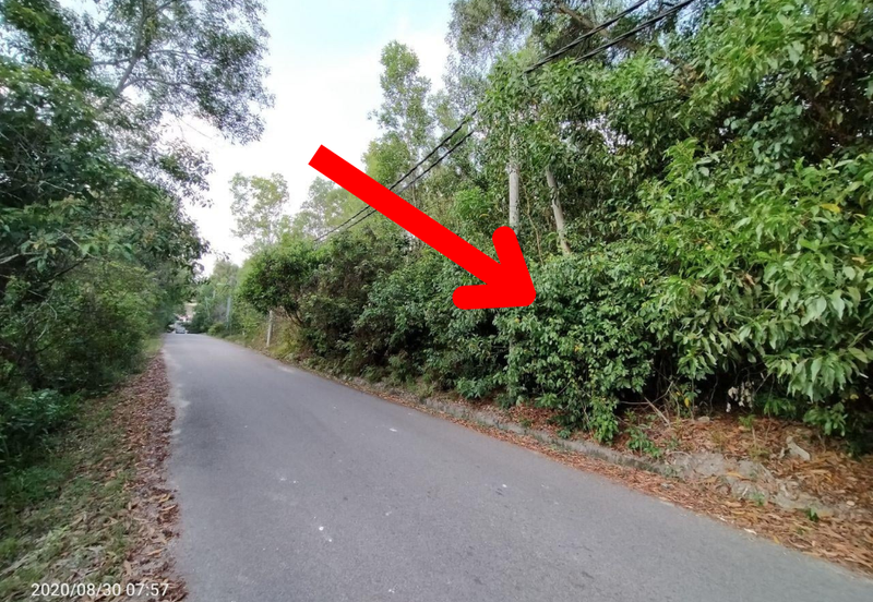 [𝐓𝐚𝐧𝐚𝐡 𝐆𝐫𝐞𝐝 𝐀]𝐓𝐚𝐧𝐚𝐡 𝐋𝐨𝐭 𝐁𝐚𝐧𝐠𝐥𝐨 𝐒𝐞𝐭𝐞𝐧𝐠𝐚𝐡 𝐄𝐤𝐚𝐫 𝐝𝐢 𝐁𝐚𝐧𝐝𝐚𝐫 𝐌𝐚𝐫𝐚𝐧𝐠, 𝐓𝐞𝐫𝐞𝐧𝐠𝐠𝐚𝐧𝐮