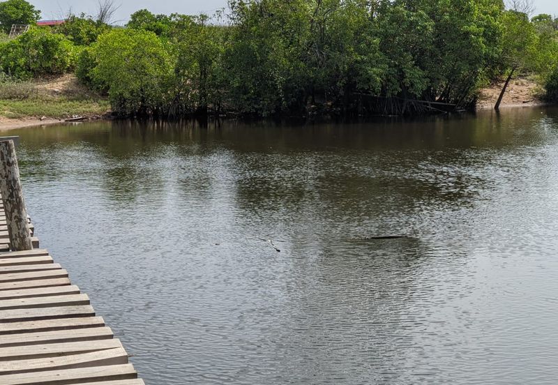 [𝐆𝐑𝐄𝐃 𝐀]𝐓𝐚𝐧𝐚𝐡 𝐛𝐞𝐫𝐬𝐭𝐚𝐭𝐮𝐬 𝐁𝐚𝐧𝐠𝐮𝐧𝐚𝐧 𝐬𝐚𝐢𝐳 𝟑𝟎𝟗𝟓𝐦² 𝐝𝐢 𝐏𝐮𝐥𝐚𝐮 𝐊𝐞𝐫𝐞𝐧𝐠𝐠𝐚, 𝐌𝐚𝐫𝐚𝐧𝐠 𝐓𝐞𝐫𝐞𝐧𝐠𝐠𝐚𝐧𝐮