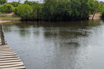 [𝐆𝐑𝐄𝐃 𝐀]𝐓𝐚𝐧𝐚𝐡 𝐛𝐞𝐫𝐬𝐭𝐚𝐭𝐮𝐬 𝐁𝐚𝐧𝐠𝐮𝐧𝐚𝐧 𝐬𝐚𝐢𝐳 𝟑𝟎𝟗𝟓𝐦² 𝐝𝐢 𝐏𝐮𝐥𝐚𝐮 𝐊𝐞𝐫𝐞𝐧𝐠𝐠𝐚, 𝐌𝐚𝐫𝐚𝐧𝐠 𝐓𝐞𝐫𝐞𝐧𝐠𝐠𝐚𝐧𝐮