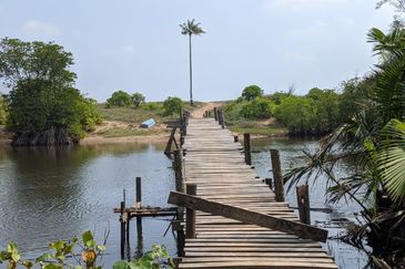 [𝐆𝐑𝐄𝐃 𝐀]𝐓𝐚𝐧𝐚𝐡 𝐛𝐞𝐫𝐬𝐭𝐚𝐭𝐮𝐬 𝐁𝐚𝐧𝐠𝐮𝐧𝐚𝐧 𝐬𝐚𝐢𝐳 𝟑𝟎𝟗𝟓𝐦² 𝐝𝐢 𝐏𝐮𝐥𝐚𝐮 𝐊𝐞𝐫𝐞𝐧𝐠𝐠𝐚, 𝐌𝐚𝐫𝐚𝐧𝐠 𝐓𝐞𝐫𝐞𝐧𝐠𝐠𝐚𝐧𝐮